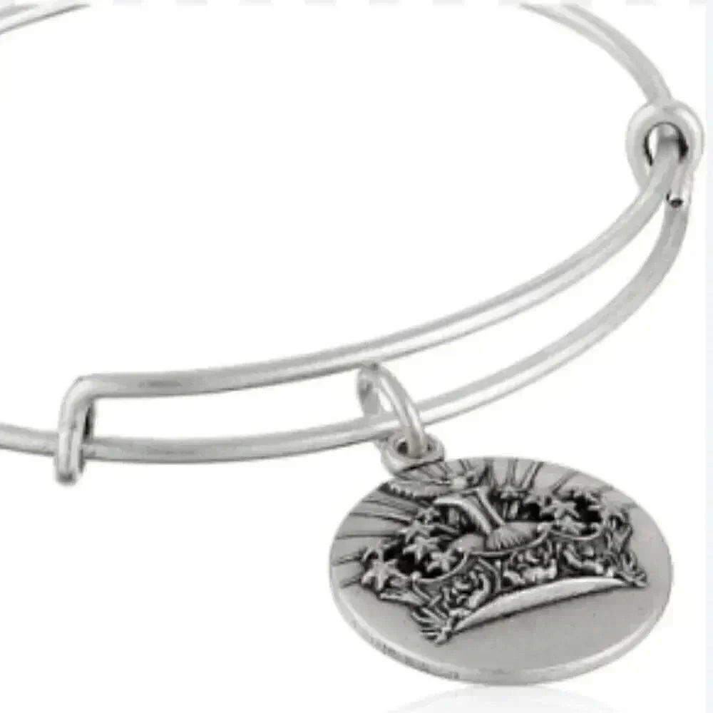 Lot of 2 Alex and Ani/statement skull bohemian casual stylish trendy bracelet OS